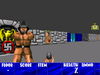 Wolfenstein 3D Uncut Redux SNES Reproduction Cart