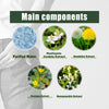 Herbal Hemorrhoid Relief Spray To Relieve Perianal Itching And Swelling Discomfort Herbal Serum Perianal Gentle Treatment