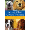 A Dog Who's Always Welcome: Assistance and Therapy Dog Trainers Teach You How to Socialize and Train Your Companion Dog - Hardcover
