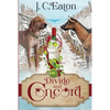 Divide and Concord - Paperback