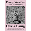 Funny Weather: Art in an Emergency - Paperback