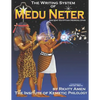 The Writing System of Medu Neter - Paperback