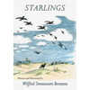 Starlings - Paperback