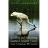 Sandhill and Whooping Cranes: Ancient Voices Over America's Wetlands - Paperback