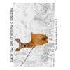 The Great Outdoors [Line Drawings]: Color the Art of Nature + Wildlife - Paperback