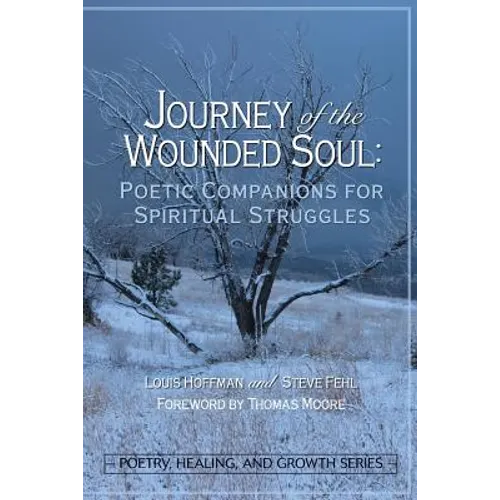 Journey of the Wounded Soul: Poetic Companions for Spiritual Struggles - Paperback