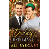 Daddy's Christmas Elf: A Daddy-lite Christmas MM Romance - Paperback