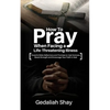 How to Pray When Facing a Life-Threatening Illness: Powerful Bible Reflections and Promises to Heal Sickness, Boost Strength and Encourage Your Faith - Paperback