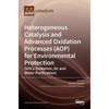 Heterogeneous Catalysis and Advanced Oxidation Processes (AOP) for Environmental Protection: (VOCs Oxidation, Air and Water Purification) - Hardcover