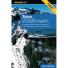 Tahoe Wildflowers - Paperback