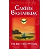 Fire from Within - Paperback