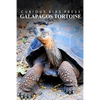 Galapagos Tortoise - Curious Kids Press: Kids book about animals and wildlife, Children's books 4-6 - Paperback