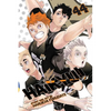 Haikyu!!, Vol. 44: The Greatest Opponent - Paperback