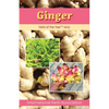 Ginger: Herb of the Year 2023 - Paperback