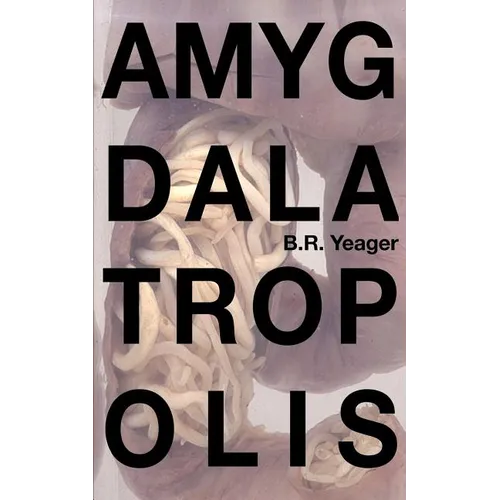 Amygdalatropolis - Paperback