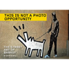 This Is Not a Photo Opportunity: The Street Art of Banksy - Paperback