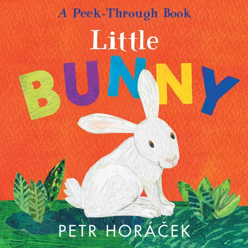 Little Bunny - Board Book
