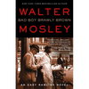 Bad Boy Brawly Brown: An Easy Rawlins Novel - Paperback
