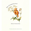 The Cosmopolitan - Paperback