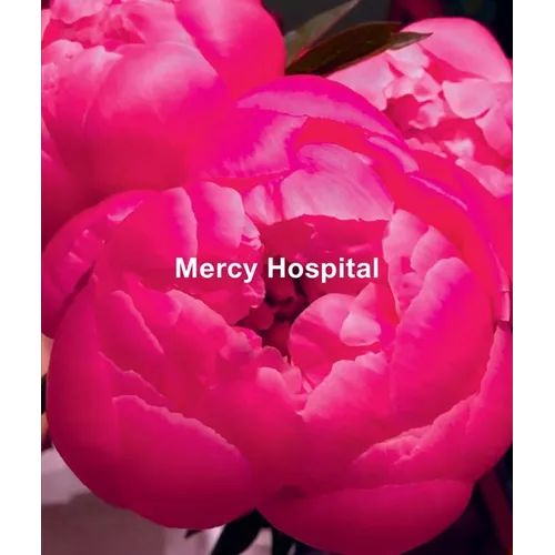 Ida Applebroog: Mercy Hospital - Hardcover