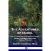 The Adventures of Mabel: The Illustrated Children's Classic; Mabel's Journeys with her Animal Friends - Paperback
