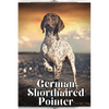 German Shorthaired Pointer: Dog breed overview and guide - Paperback