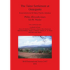 The Taíno Settlement at Guayguata: Excavations in St Mary Parish, Jamaica - Paperback