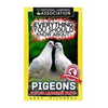 Everything You Should Know About: PIGEONS Faster Learning Facts - Paperback