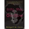 Into the Go-Slow - Paperback