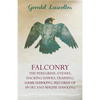 Falconry - The Peregrine, Eyesses, Hacking Hawks, Training, Game Hawking, Records of Sport and Magpie Hawking - Paperback
