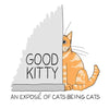 Good Kitty: An illustrated expose of cats being cats - Paperback