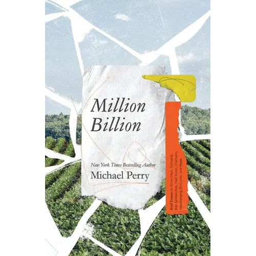 Million Billion: Brief Essays on Snow Days, Spitwads, Bad Sandwiches, Dad Socks, Hairballs, Headbanging Bird Love, and Hope. - Paperback