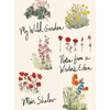 My Wild Garden: Notes from a Writer's Eden - Hardcover