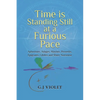 Time Is Standing Still at a Furious Pace: Aphorisms, Adages, Maxims, Proverbs, Epigrams, Litotes and Sheer Nonsense - Paperback