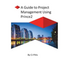 Prince2 - A Guide to Project Management - Paperback
