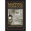 Mapping Norwood: An Irish American Memoir - Paperback