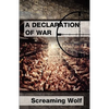 Declaration of War - Paperback