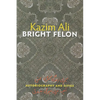 Bright Felon: Autobiography and Cities - Paperback