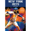 New York Mets Fun Facts - Paperback