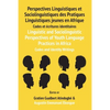 Linguistic and Sociolinguistic Perspectives of Youth Language Practices in Africa: Codes and Identity Writings: Perspectives Linguistiques et Sociolin - Paperback