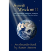 Spirit Wisdom II: The Enlightened Warrior's Guide To Personal And Cultural Transformation - Paperback