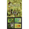 A Field Guide to Insects of the Pacific Northwest - Paperback