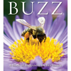 Buzz: A Book of Happiness for Bee Lovers - Paperback