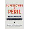 Superpower in Peril: A Battle Plan to Renew America - Paperback