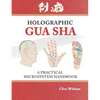 Holographic Gua sha: A Practical Microsystem Handbook - Paperback