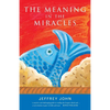 The Meaning in the Miracles - Paperback