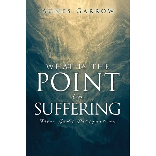 What Is The Point In Suffering From God's Perspective - Paperback