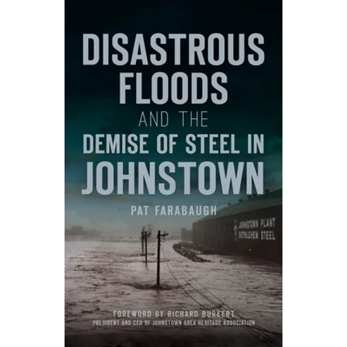 Disastrous Floods and the Demise of Steel in Johnstown - Hardcover