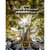 The Correct & Incorrect Formula of Life - Paperback