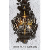 Dream Walker - Paperback